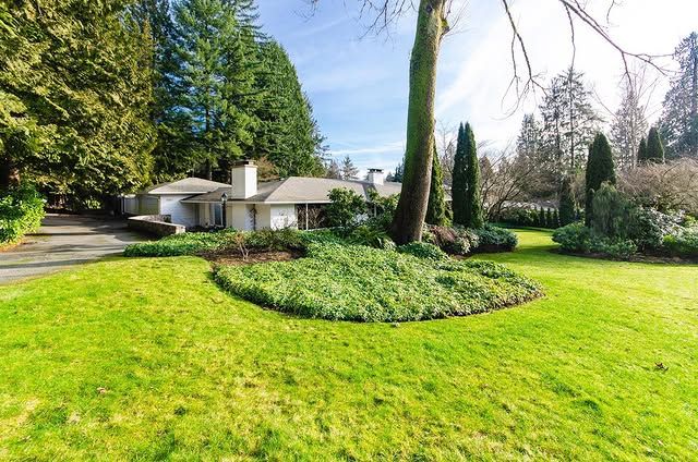realtor photo